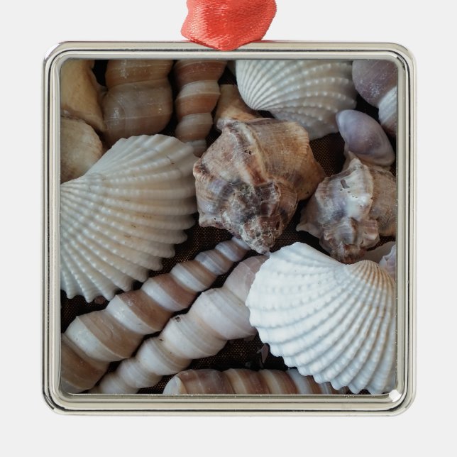 Adorno Metálico Sunny Seashells Colección Naturaleza Verano (Frente)
