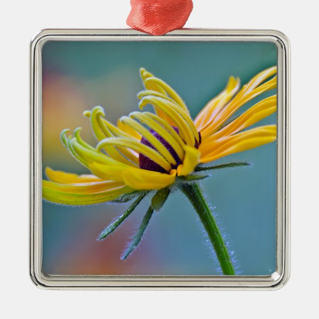 Adorno Metálico Susan Negro-observada (Frente)