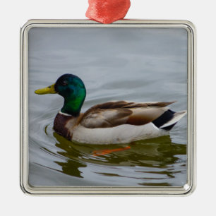 Adorno Metálico Swim Mallard Swim