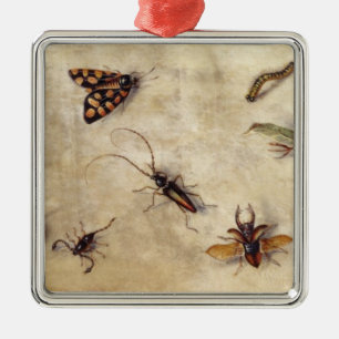 Adorno Metálico T31567 un estudio de diversos insectos, fruta y