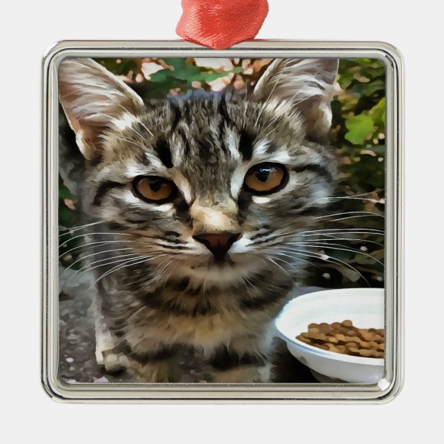 Adorno Metálico Tabby Cat Kitten Making Eye Contact (Frente)