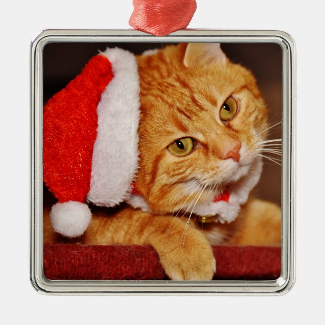 Adorno Metálico Tabby Cat Naranja navideña personalizada (Frente)