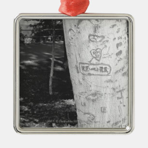 Adorno Metálico Talla en el tronco de árbol de abedul B&W