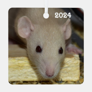 Adorno Metálico Tan Beige Dumbo Mascota Rat