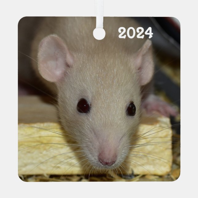 Adorno Metálico Tan Beige Dumbo Mascota Rat (Reverso )