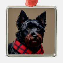 Terrier Escocés