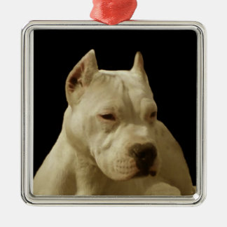 Adorno Metálico Territorio Pitbull Blanco