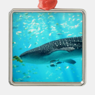 Adorno Metálico Tiburón de ballena azul Guay con estilo Moda de a