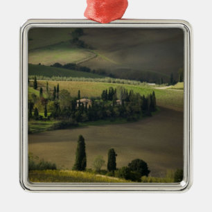Adorno Metálico Tierras de cultivo alrededor de Montepulciano, Tos