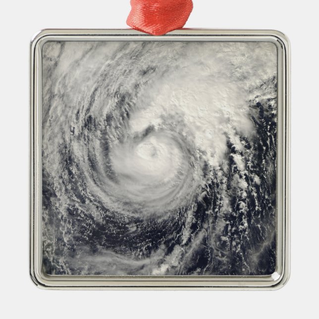 Adorno Metálico Tifón delfín en el mar de Filipinas (Frente)