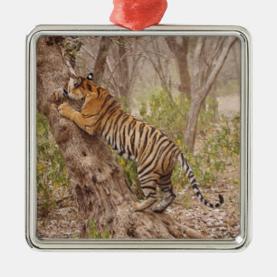 Adorno Metálico Tigre de Bengala Real subiendo al árbol,