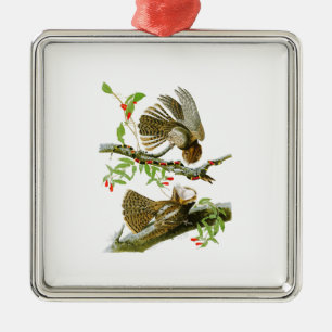 Adorno Metálico Tirada- Pájaros de Juan Audubon de la viuda de