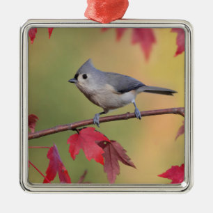 Adorno Metálico Titmice copetudos