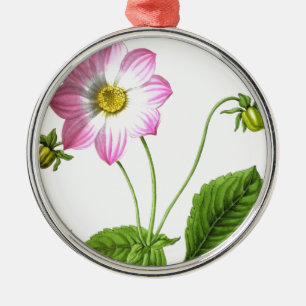 Adorno Metálico Tolerancia