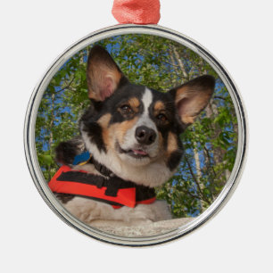 Adorno Metálico Tomar una rotura