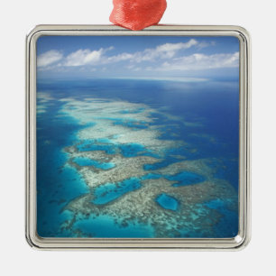 Adorno Metálico Tongue Reef, Parque Marino de la Gran Barrera de C