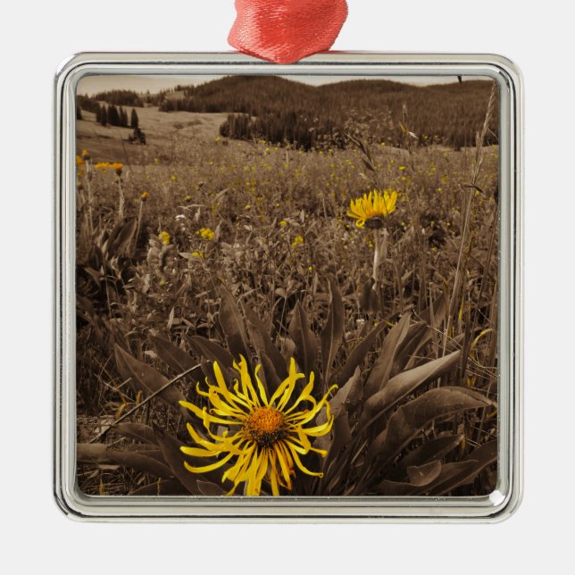 Adorno Metálico Tono sepia Flores silvestres amarillas (Frente)