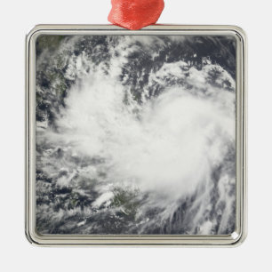 Adorno Metálico Tormenta tropical Chanchu 2