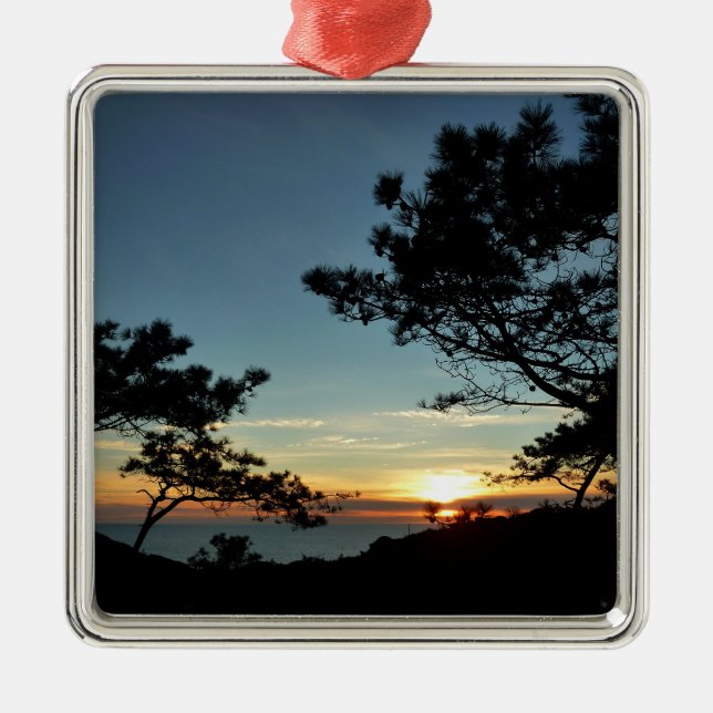 Adorno Metálico Torrey Pine Sunset III California (Frente)
