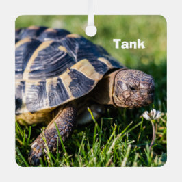 Adorno Metálico Tortuga griega en el césped