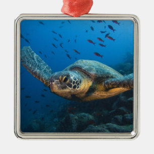 Adorno Metálico Tortuga Negra (Verde) (Chelonia agassizi)