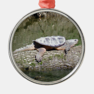 Adorno Metálico Tortuga Snapping