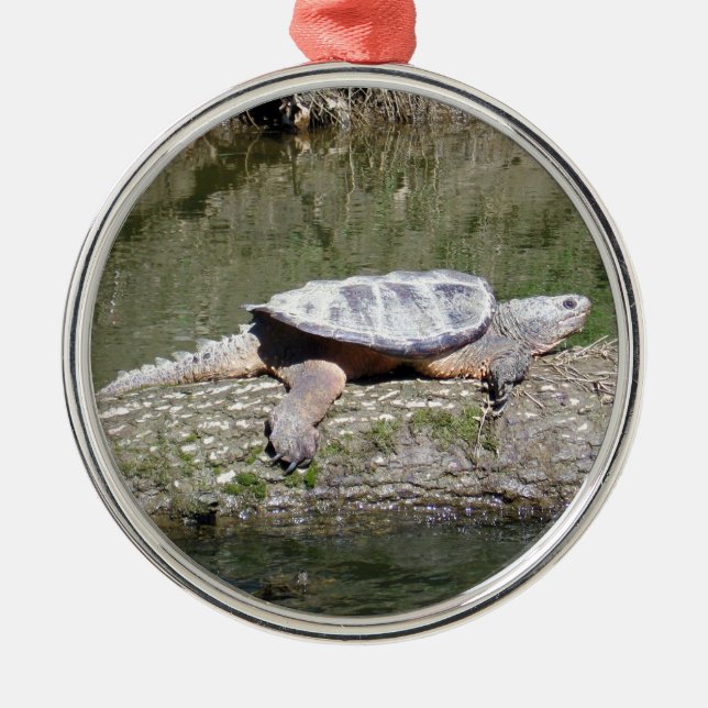 Adorno Metálico Tortuga Snapping (Frente)