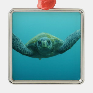 Adorno Metálico Tortuga Verde (Chelonia mydas agassisi), Central