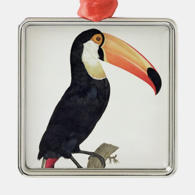 Adorno Metálico Toucan No.2, de la 'historia de los pájaros de (Frente)