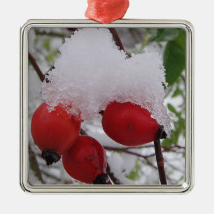 Adorno Metálico Tres costillas con gorra de nieve