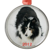 Tri Sheltie en plantilla de la nieve