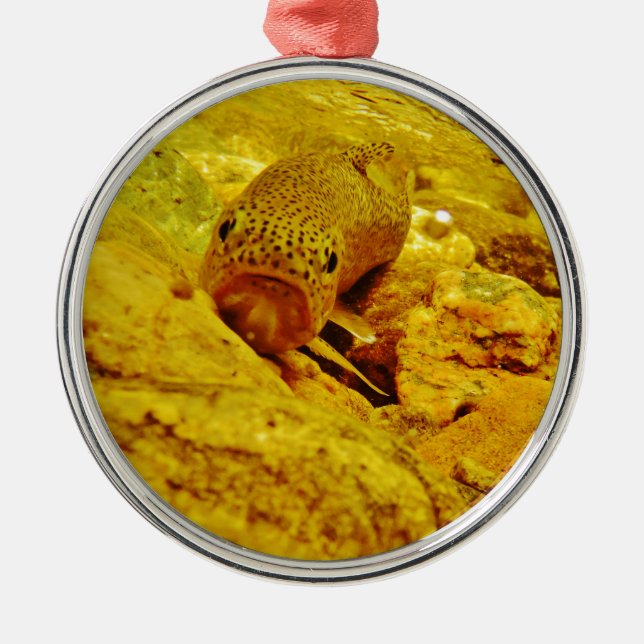 Adorno Metálico Truco en la corriente (Frente)