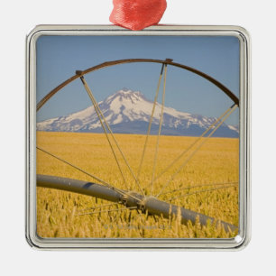 Adorno Metálico Tubo de la irrigación en campo