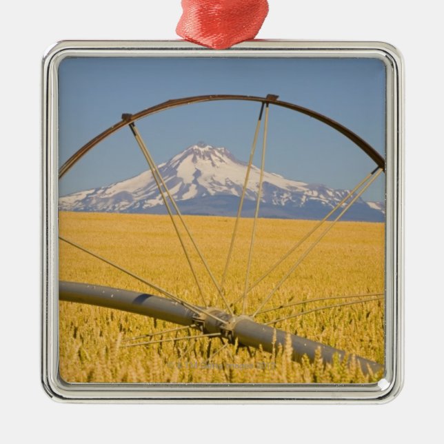 Adorno Metálico Tubo de la irrigación en campo (Frente)