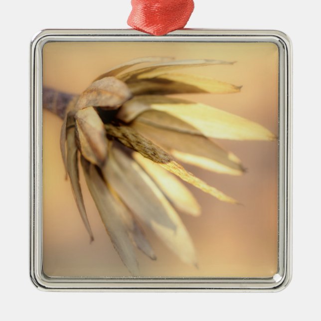 Adorno Metálico Tulip Poplar Empty Seed Pod (Frente)