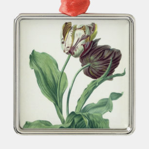 Adorno Metálico Tulipán del jardín, de la "ópera Botanica",