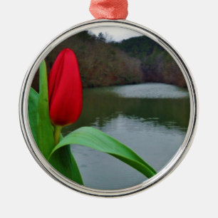 Adorno Metálico Tulipán rojo primaveral en el lago Arrowhead
