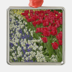 Adorno Metálico Tulipán y jardín daffodil, Keukenhof Gardens,