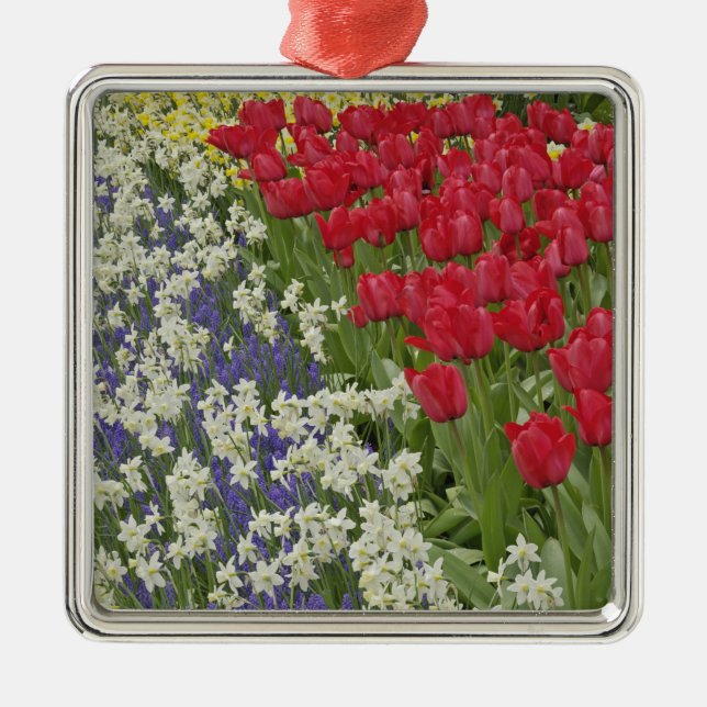 Adorno Metálico Tulipán y jardín daffodil, Keukenhof Gardens, (Frente)