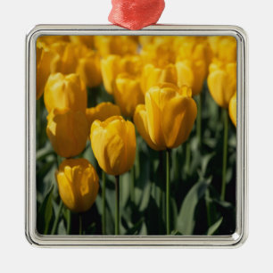 Adorno Metálico Tulipanes 3