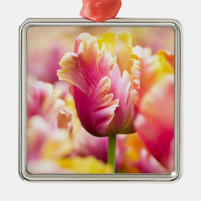 Adorno Metálico Tulipanes del primer (Frente)