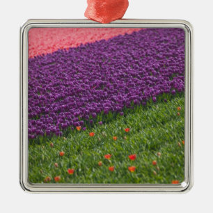 Adorno Metálico Tulipanes en los jardines de Keukenhof, Ámsterdam,