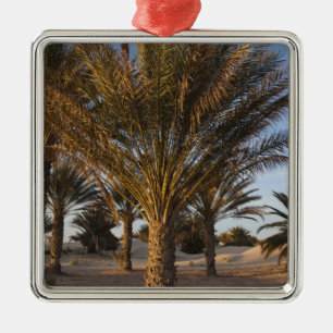 Adorno Metálico Túnez, desierto del Sahara, Douz, gran duna, palm