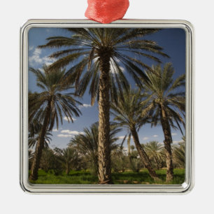 Adorno Metálico Túnez, zona de Ksour, Ksar Ghilane, palmera datile