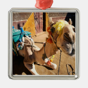 Adorno Metálico Un camello amistoso espera a su próximo jinete, El