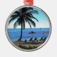 Un día debajo de la palmera