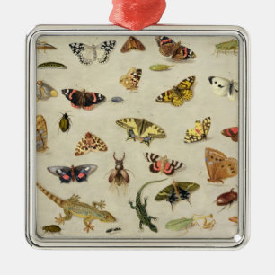 Adorno Metálico Un estudio de insectos