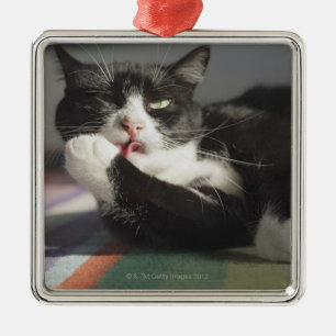 Adorno Metálico Un gato que lo lame es pata