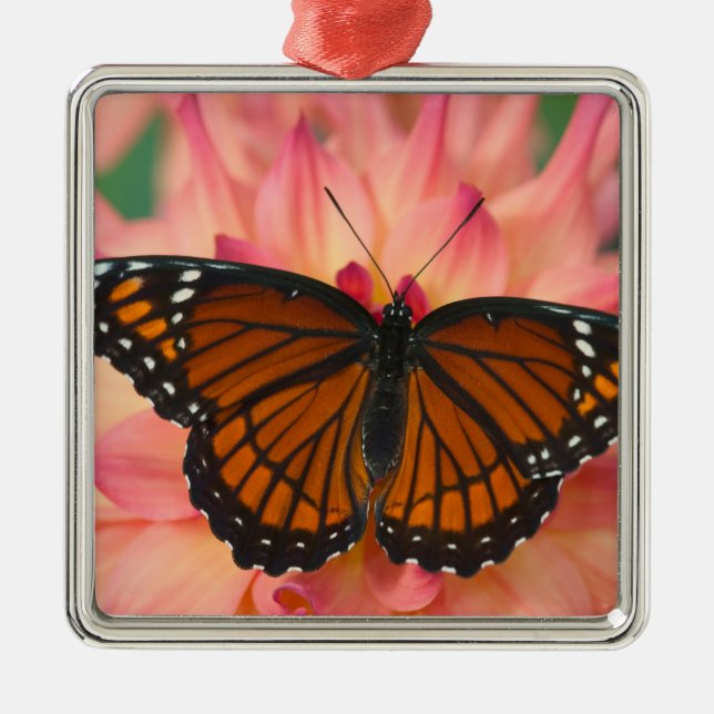 Adorno Metálico Un Mímico De La Mariposa Monarca (Frente)