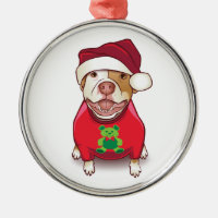 Un pitbull en una camiseta del oso